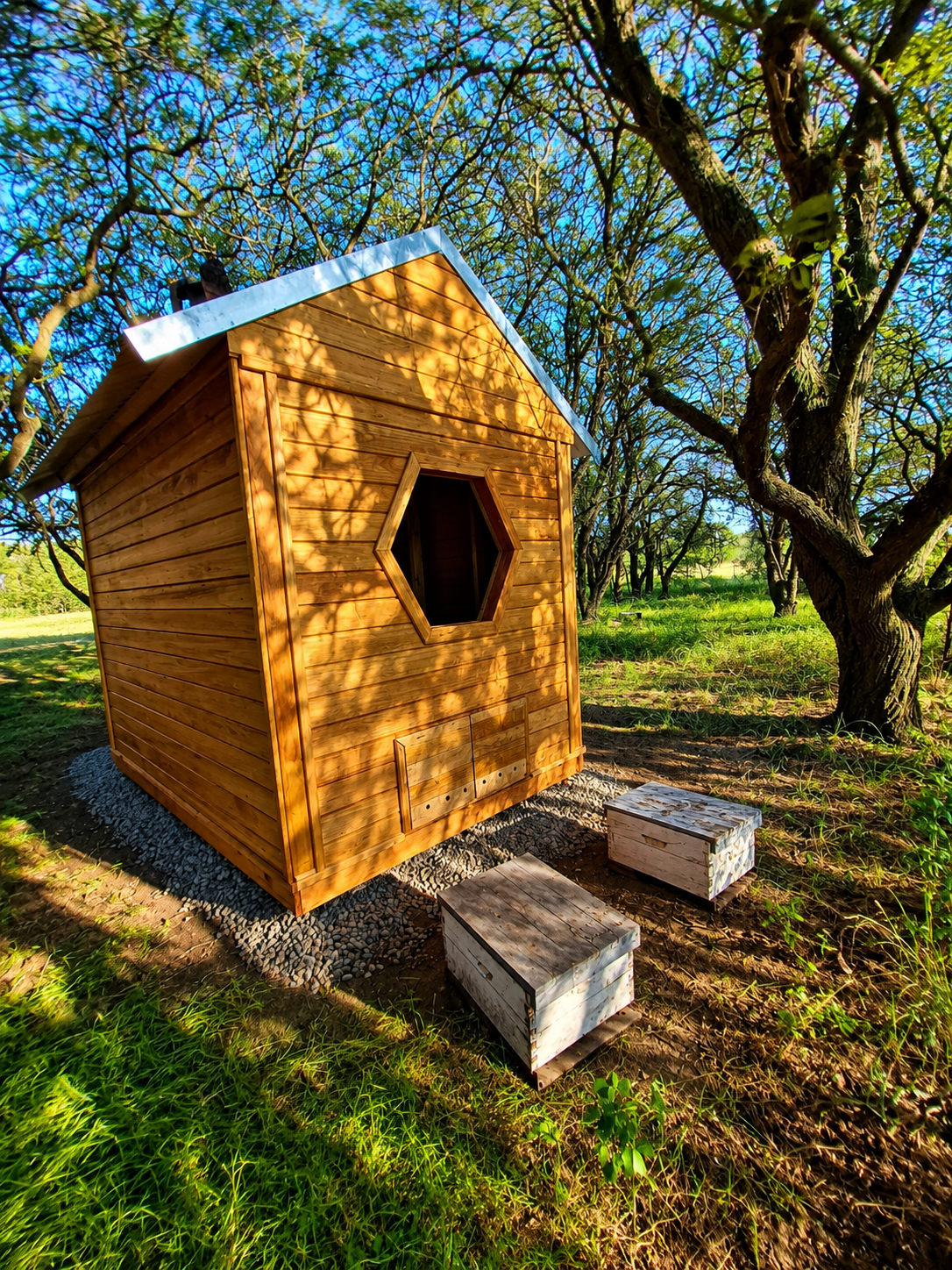 Cabina de AMIELAR entre árboles y naturaleza